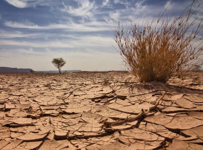 Sequía de 1846-50 e hipótesis de cambio climático por deforestación en el sureste ibérico